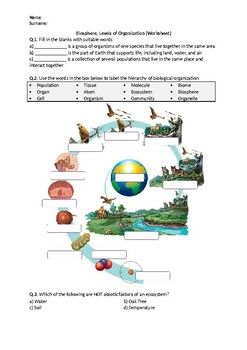 Biosphere Levels Of Ecological Organization Worksheet Printables 