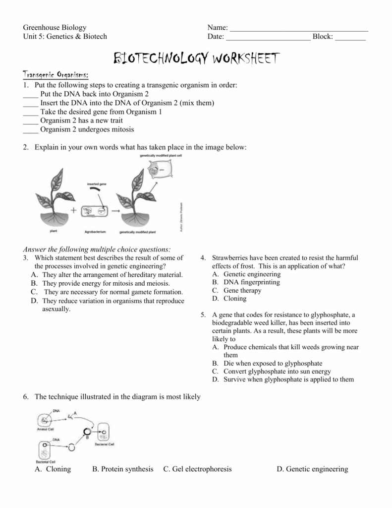 Biotechnology Worksheet