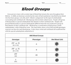 Blood Type Inheritance Worksheet