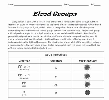 Blood Type Inheritance Worksheet