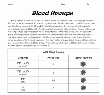 Blood Type Inheritance Worksheet