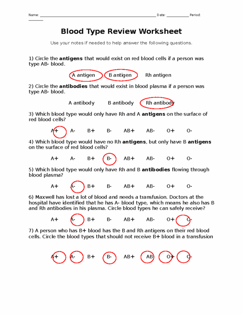 Blood Types Identification Worksheet