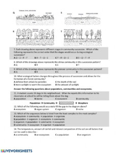 Bozeman Science Ecological Succession Video Worksheet Answers
