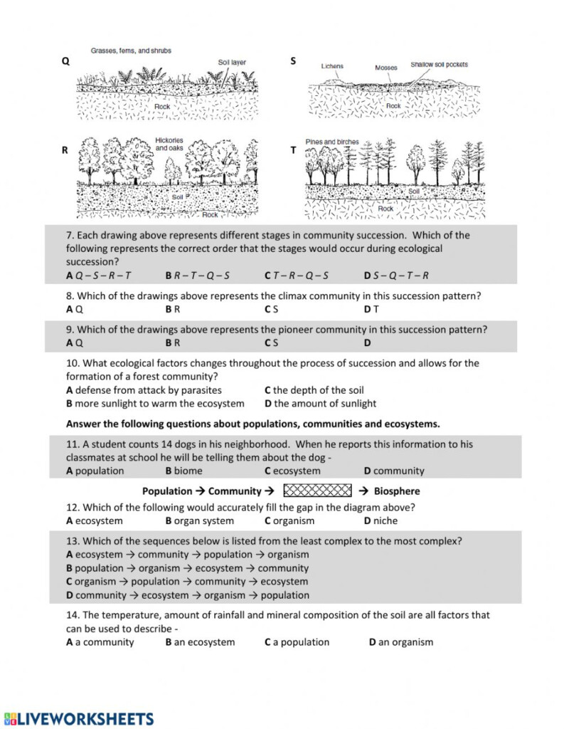 Bozeman Science Ecological Succession Video Worksheet Answers 