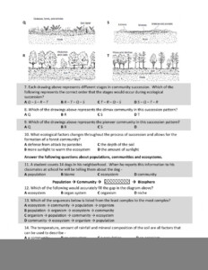 Bozeman Science Ecological Succession Video Worksheet Answers