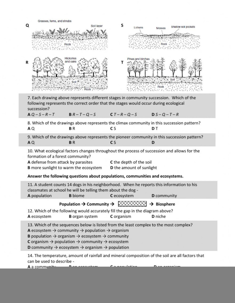 Bozeman Science Ecological Succession Video Worksheet Answers 