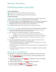 Brianna McDaniel 7 4 Homeostasis And Cells Summary Packet pdf 