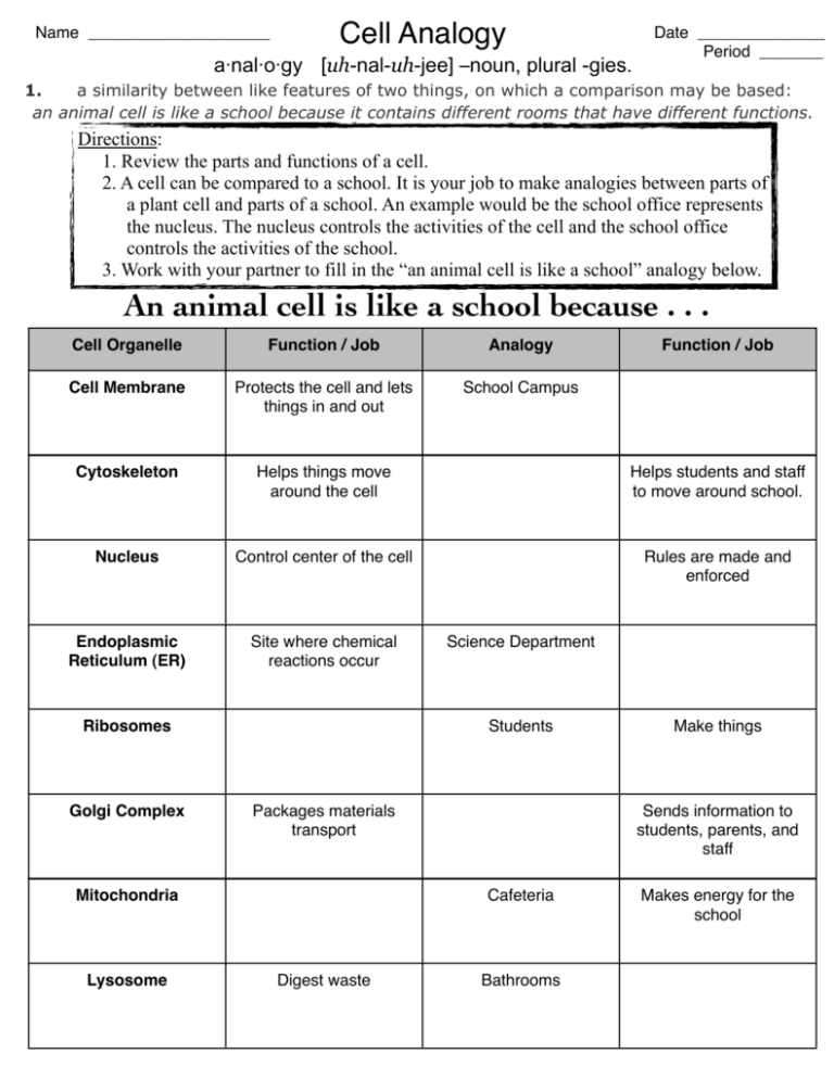 Cell Analogy Worksheet School Cell Organelles