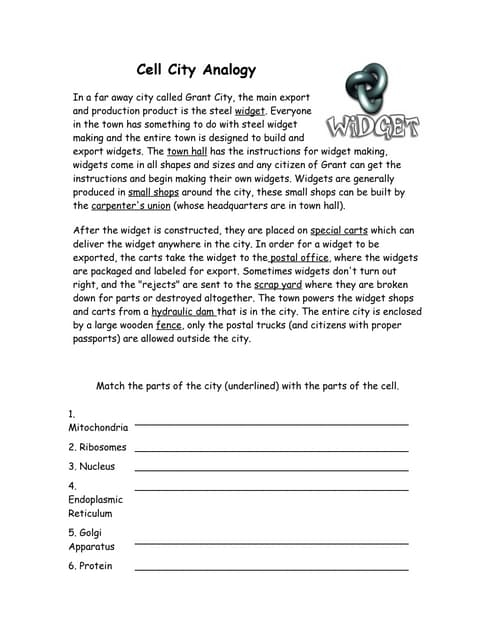 Cell City Analogy Exercises Cell Biology Docsity Worksheets Library