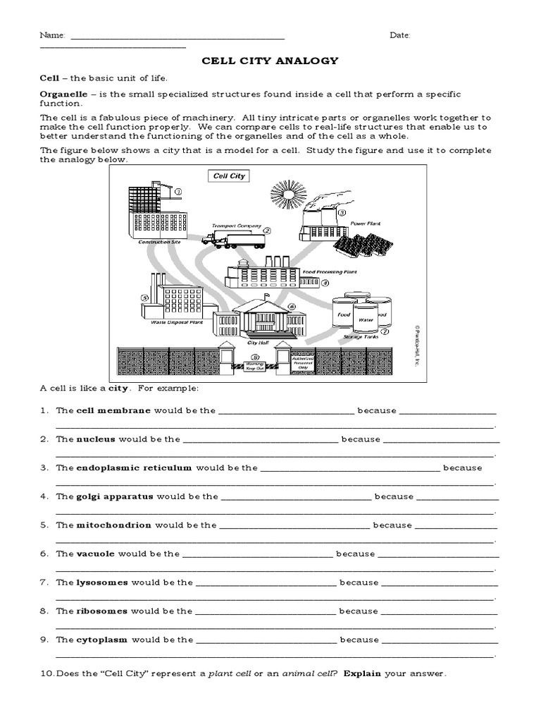 Cell City Analogy PDF Cell Biology Organelle Worksheets Library