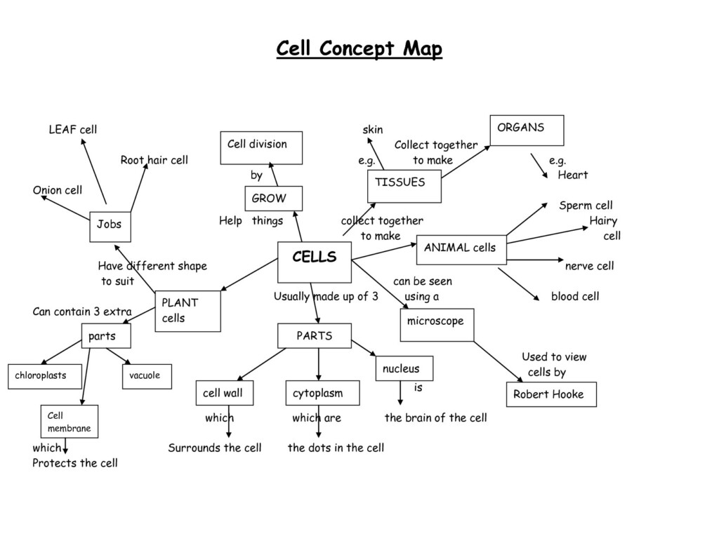 Cell Concept Map Worksheet Answers Db excel