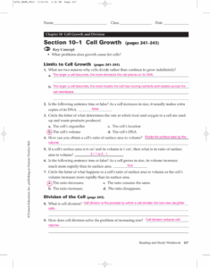 Cell Growth Division And Reproduction Worksheet Answers