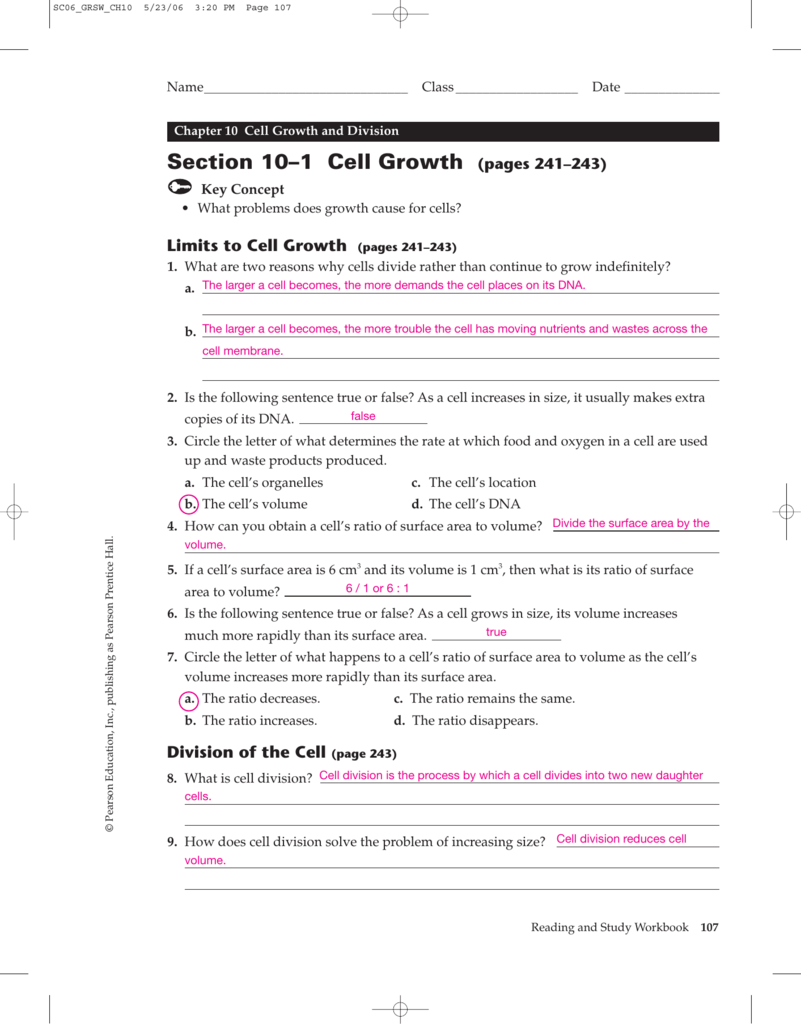 Cell Growth Division And Reproduction Worksheet Answers