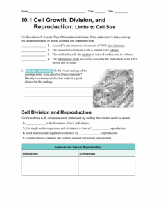Cell Growth Division And Reproduction Worksheet Answers
