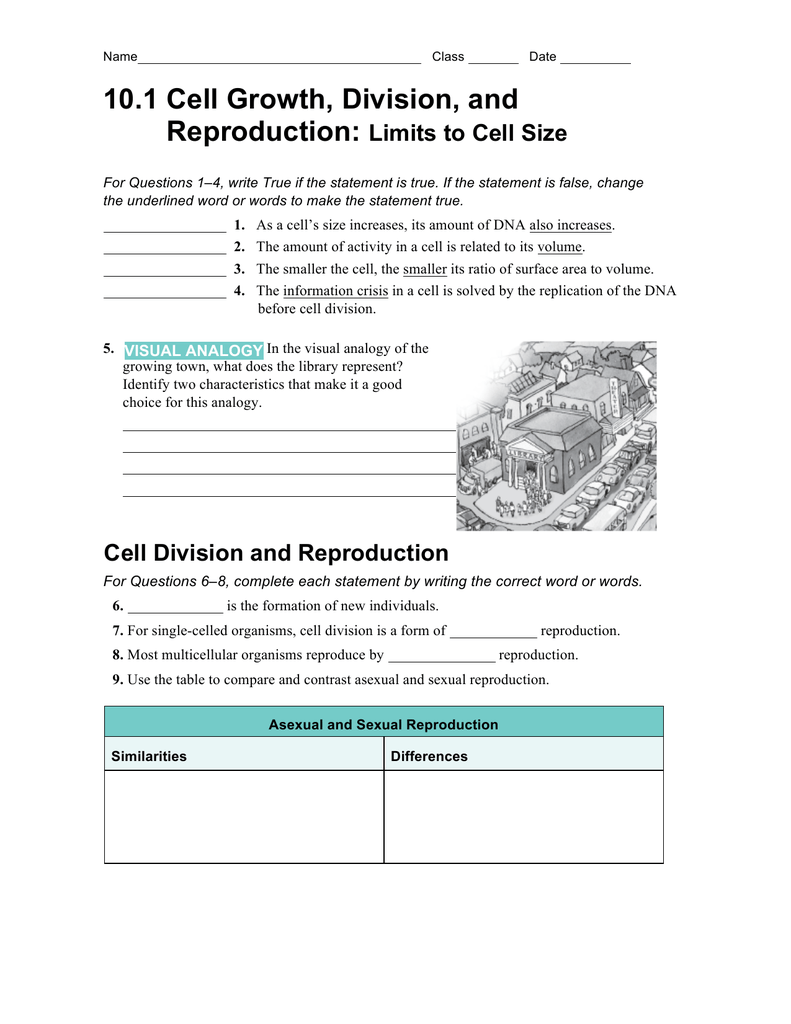 Cell Growth Division And Reproduction Worksheet Answers