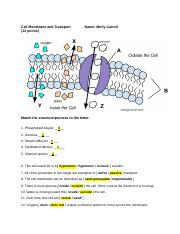 Cell Membrane Activity Worksheet