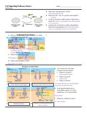 Cell Signaling Pathways Basics docx Cell Signaling Pathways Basics