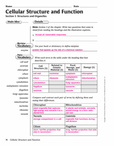 Cell Structure And Function Worksheet Greenced