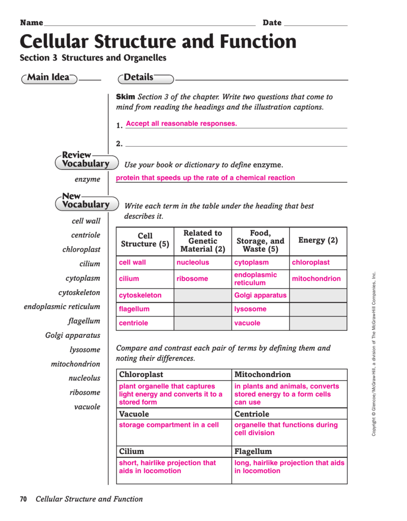 Cell Structure And Function Worksheet Greenced