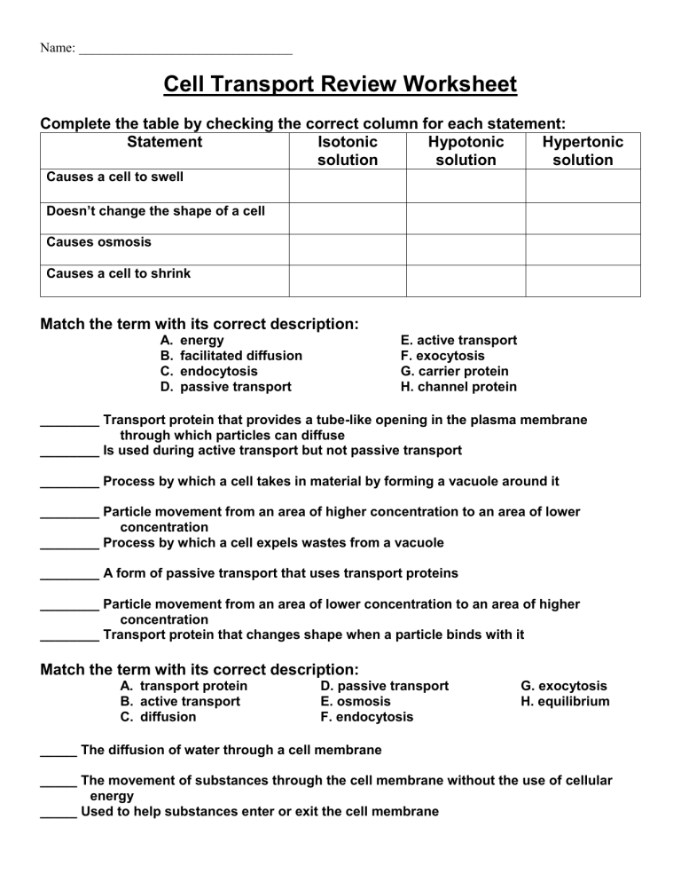 Cell Transport Review Worksheet Biology
