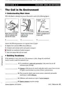 Cells And Their Environment Worksheets Answer Key
