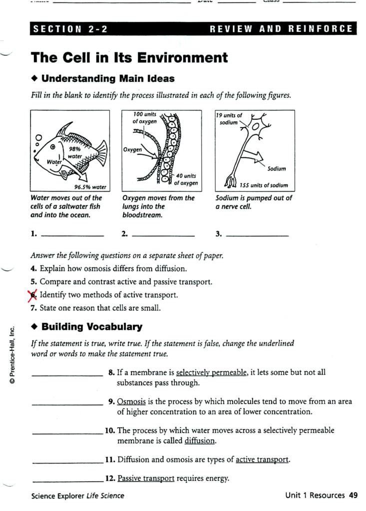 Cells And Their Environment Worksheets Answer Key