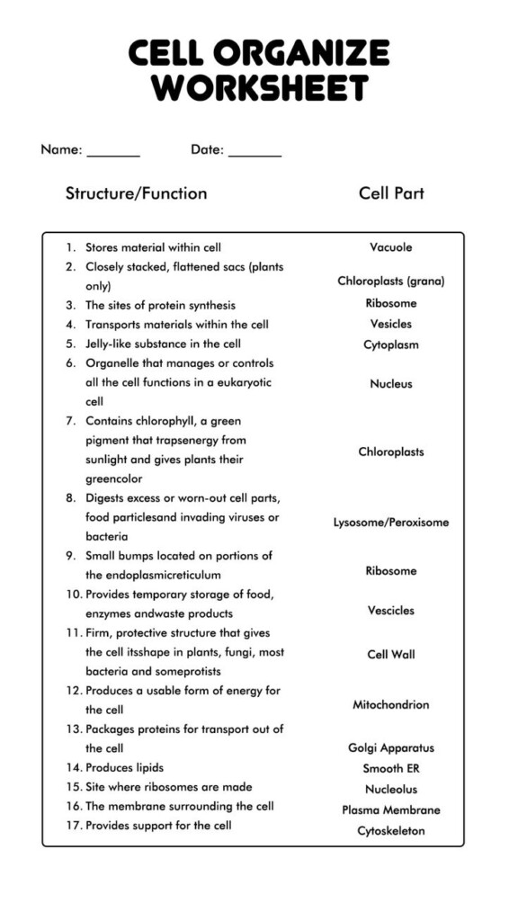 Cells And Their Organelles Worksheet Answers Science Cells Biology 