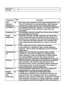 CELLS REVIEW WORKSHEET WITH ANSWERS Biology Cell Organelles Cell 
