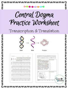 Central Dogma Practice Worksheet By Science Discovered TPT
