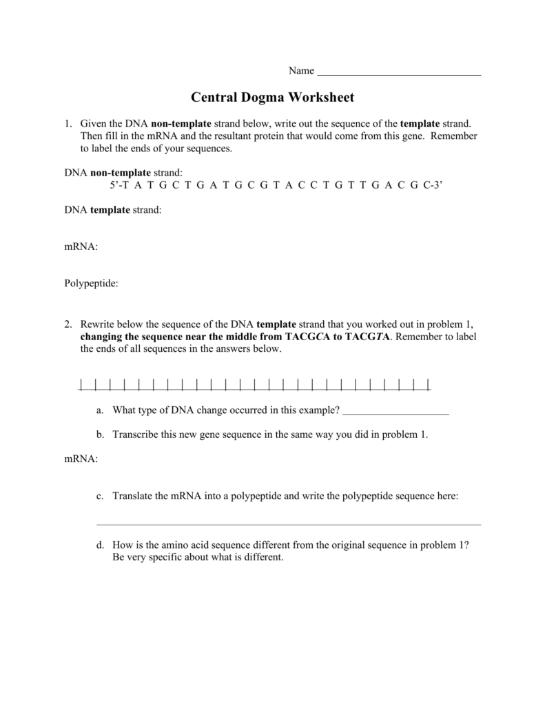 Central Dogma Worksheet Answer Key A Complete Guide