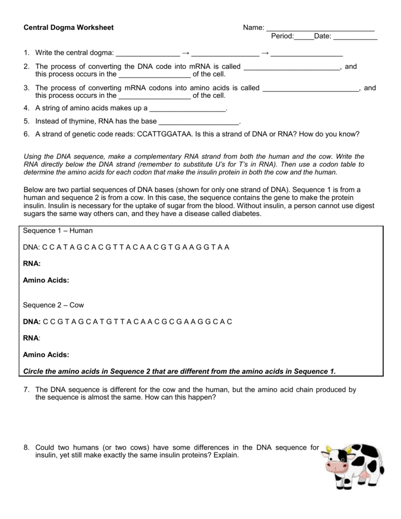 Central Dogma Worksheets