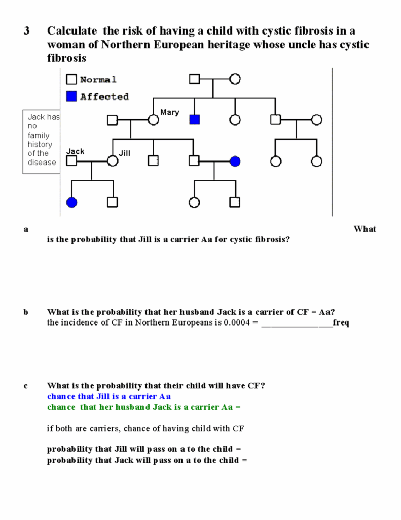 CFpop Blank 2v2 Cystic Fibrosis Human Genetics Worksheet 3 