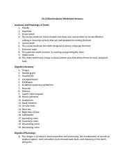Ch 24 Real A P Worksheets docx Ch 24 Real Anatomy Worksheet Answers