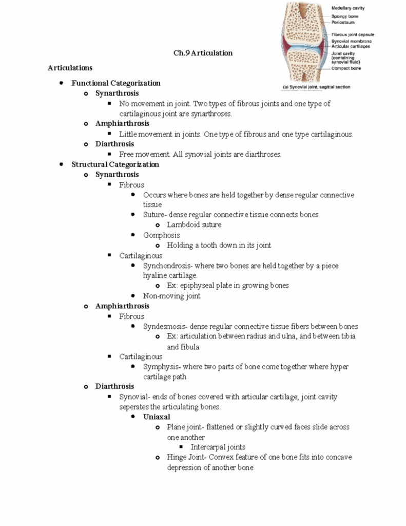Ch 9 Articulation Notes Ch Articulation Articulations Functional 