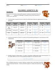 CH WS Squirrel Genetics B WORD docx Name Class Science Date MM 