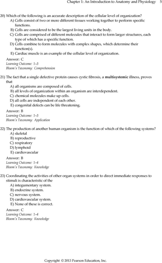 Chapter 1 Introduction To Human Anatomy And Physiology Worksheet 