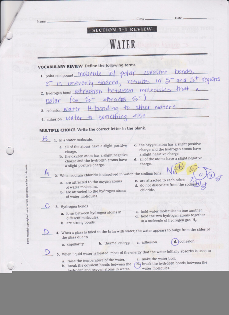 Chapter 10 Science Skills Fundamentals Of Genetics Worksheet Answers