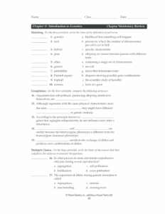Chapter 11 Introduction To Genetics Vocabulary Review Answer Key