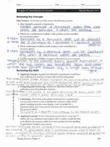 Chapter 11 Introduction To Genetics Vocabulary Review Answer Key