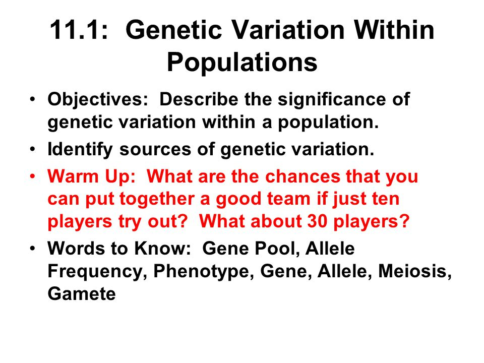Chapter 11 The Evolution Of Populations Ppt Video Online Download