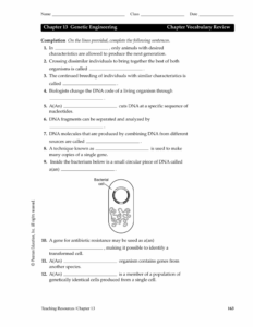 Chapter 13 Genetic Engineering Chapter Vocabulary Review Db excel