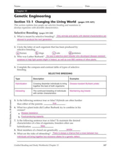 Chapter 13 Section 2 Dna Technology Study Guide Answers Technology