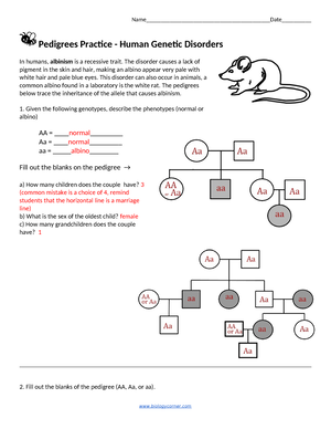 Chapter 15 Summary Lesson 15 Human Genetic Disorders What Is 