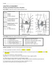 CHAPTER 16 WORKSHEET SP 2021 1 pdf NAME CHAPTER 16 WORKSHEET The 