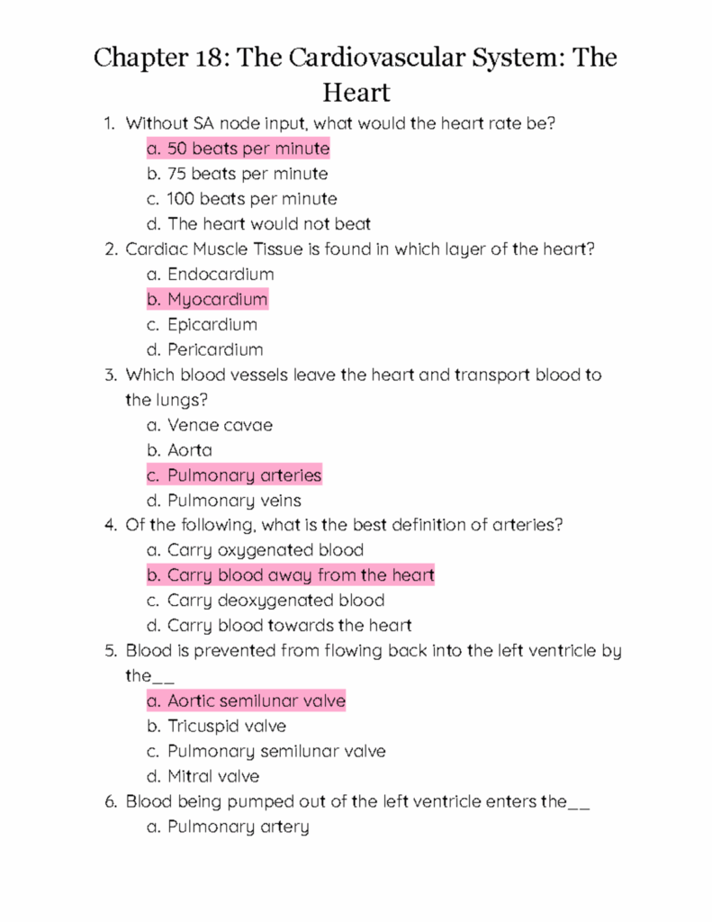 Chapter 18 Cardiovascular System The Heart Quiz Questions Human 