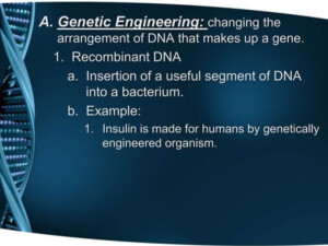 Chapter 5 Section 3 Notes advances Is Genetics PPT Free Download