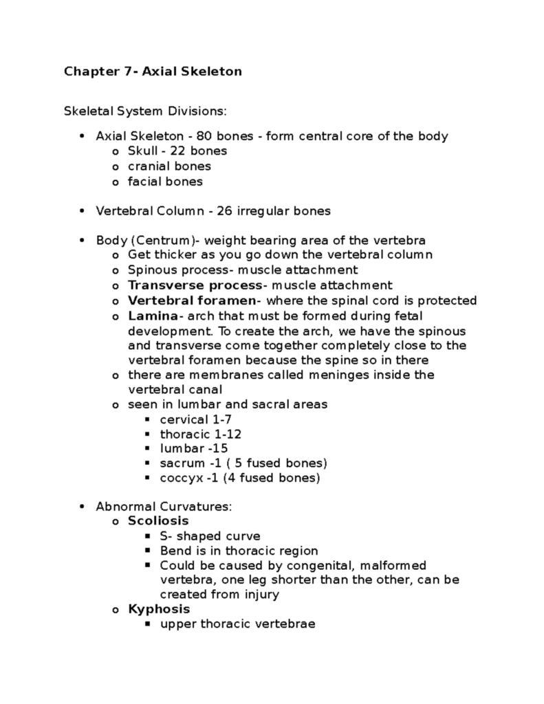 Chapter 7 Chapter 7 Axial Skeleton Skeletal System Divisions Axial 