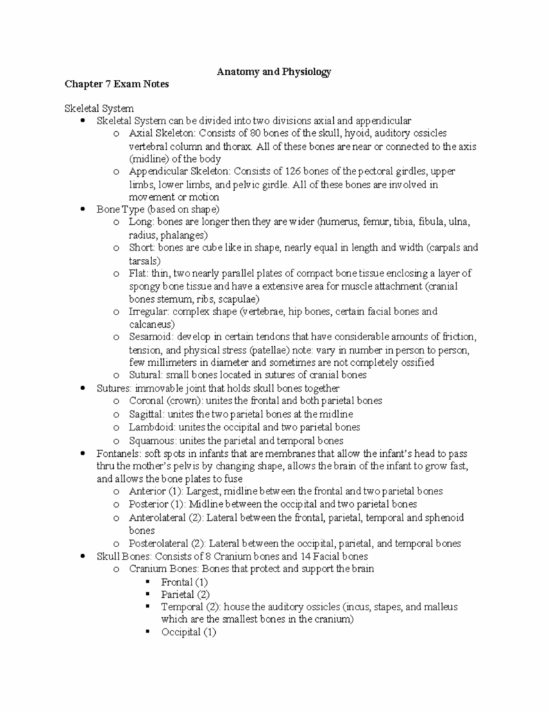Chapter 7 Exam Notes Exam 1 4 Prep Anatomy And Physiology Chapter 7 
