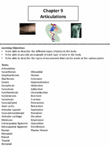 Chapter 9 Chapter 9 Articulations Learning Objectives To Be Able To