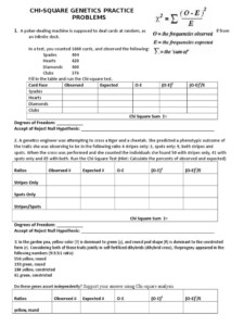 Chi Square Genetics Practice Problems Worksheet 280185356 PDF